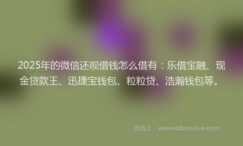 2025年的微信还呗借钱怎么借有：乐借宝融、现金贷款王、迅捷宝钱包、粒粒贷、浩瀚钱包等。