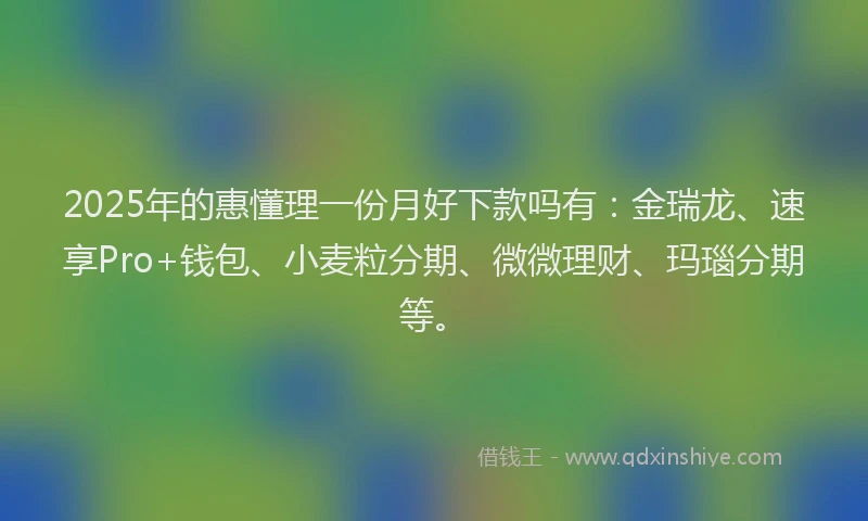 2025年的惠懂理一份月好下款吗有：金瑞龙、速享Pro+钱包、小麦粒分期、微微理财、玛瑙分期等。