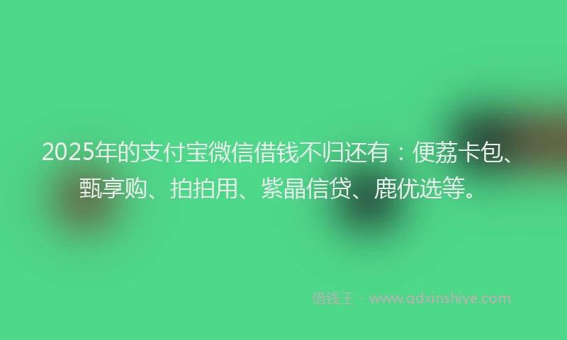 2025年的支付宝微信借钱不归还有：便荔卡包、甄享购、拍拍用、紫晶信贷、鹿优选等。