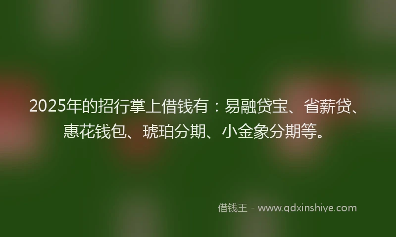 2025年的招行掌上借钱有：易融贷宝、省薪贷、惠花钱包、琥珀分期、小金象分期等。
