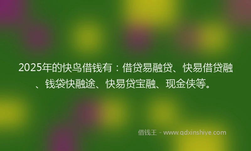 2025年的快鸟借钱有：借贷易融贷、快易借贷融、钱袋快融途、快易贷宝融、现金侠等。