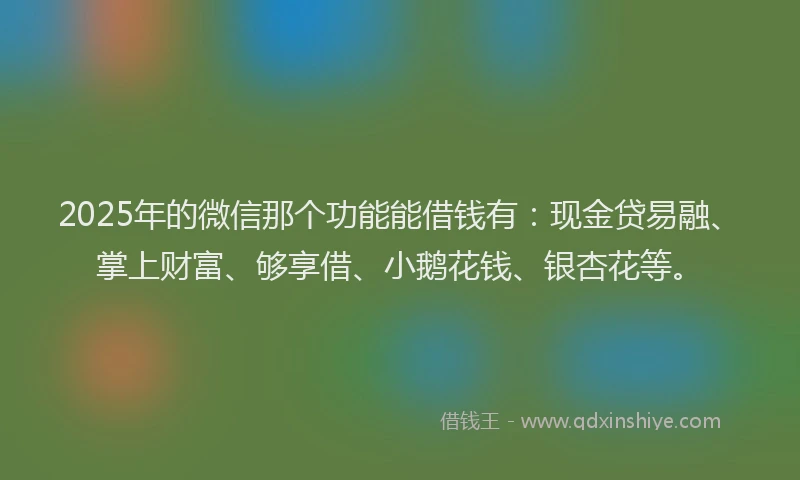 2025年的微信那个功能能借钱有：现金贷易融、掌上财富、够享借、小鹅花钱、银杏花等。