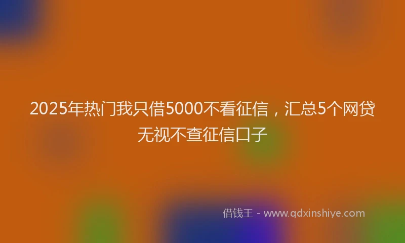 2025年热门我只借5000不看征信，汇总5个网贷无视不查征信口子
