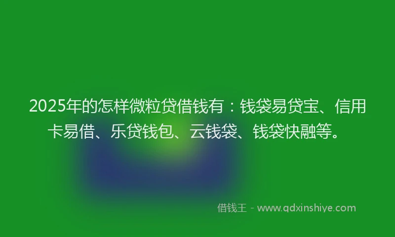 2025年的怎样微粒贷借钱有：钱袋易贷宝、信用卡易借、乐贷钱包、云钱袋、钱袋快融等。