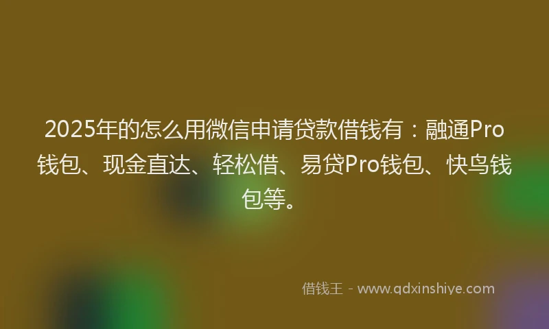 2025年的怎么用微信申请贷款借钱有：融通Pro钱包、现金直达、轻松借、易贷Pro钱包、快鸟钱包等。