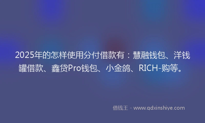 2025年的怎样使用分付借款有：慧融钱包、洋钱罐借款、鑫贷Pro钱包、小金鸽、RICH-购等。