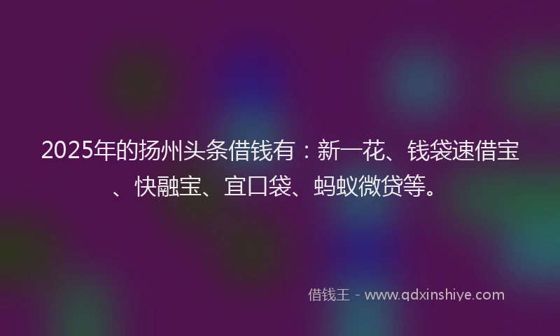 2025年的扬州头条借钱有：新一花、钱袋速借宝、快融宝、宜口袋、蚂蚁微贷等。