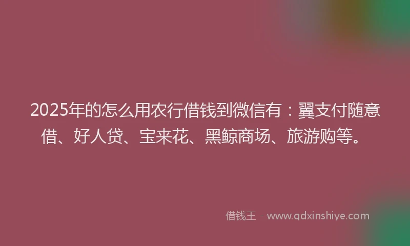 2025年的怎么用农行借钱到微信有：翼支付随意借、好人贷、宝来花、黑鲸商场、旅游购等。