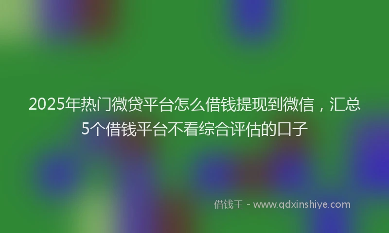 2025年热门微贷平台怎么借钱提现到微信，汇总5个借钱平台不看综合评估的口子