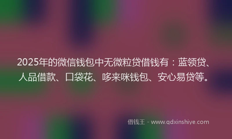 2025年的微信钱包中无微粒贷借钱有：蓝领贷、人品借款、口袋花、哆来咪钱包、安心易贷等。