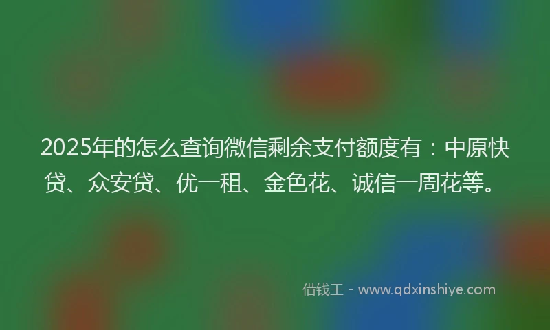 2025年的怎么查询微信剩余支付额度有：中原快贷、众安贷、优一租、金色花、诚信一周花等。