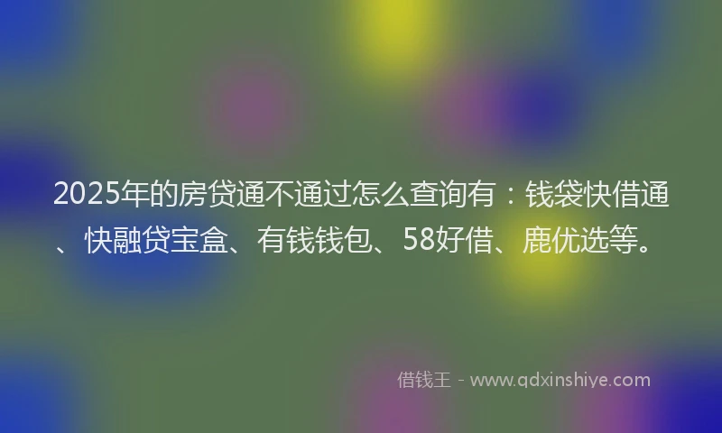 2025年的房贷通不通过怎么查询有：钱袋快借通、快融贷宝盒、有钱钱包、58好借、鹿优选等。