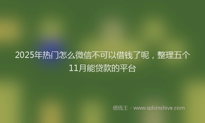 2025年热门怎么微信不可以借钱了呢，整理五个11月能贷款的平台