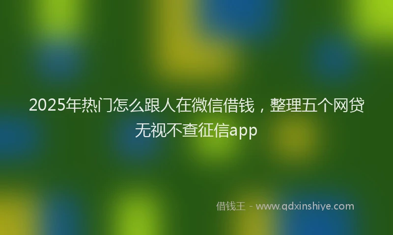 2025年热门怎么跟人在微信借钱，整理五个网贷无视不查征信app
