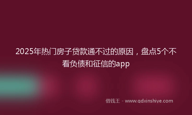 2025年热门房子贷款通不过的原因，盘点5个不看负债和征信的app