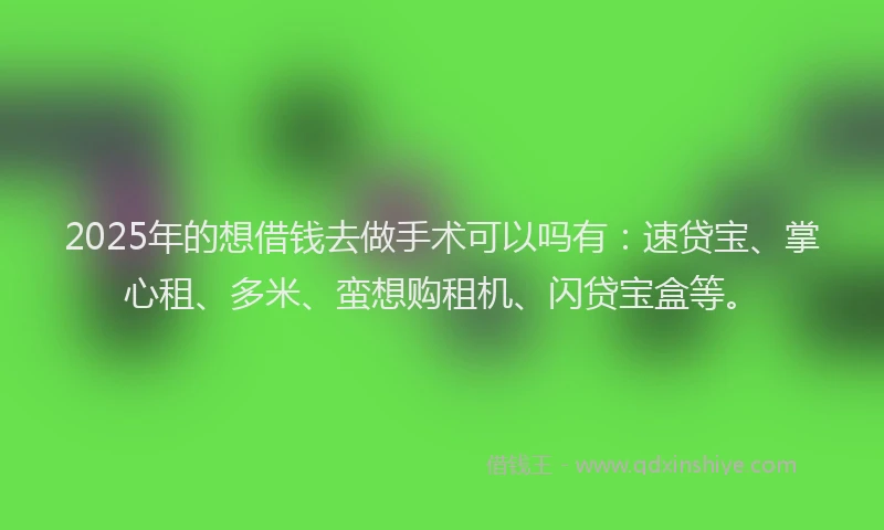 2025年的想借钱去做手术可以吗有：速贷宝、掌心租、多米、蛮想购租机、闪贷宝盒等。