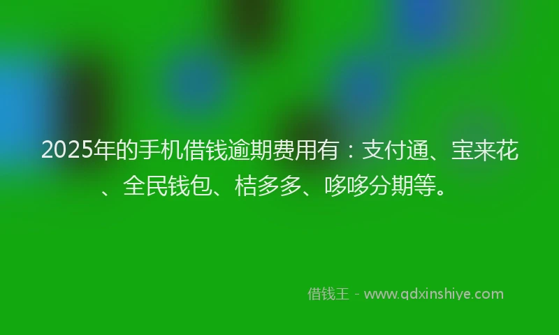 2025年的手机借钱逾期费用有：支付通、宝来花、全民钱包、桔多多、哆哆分期等。