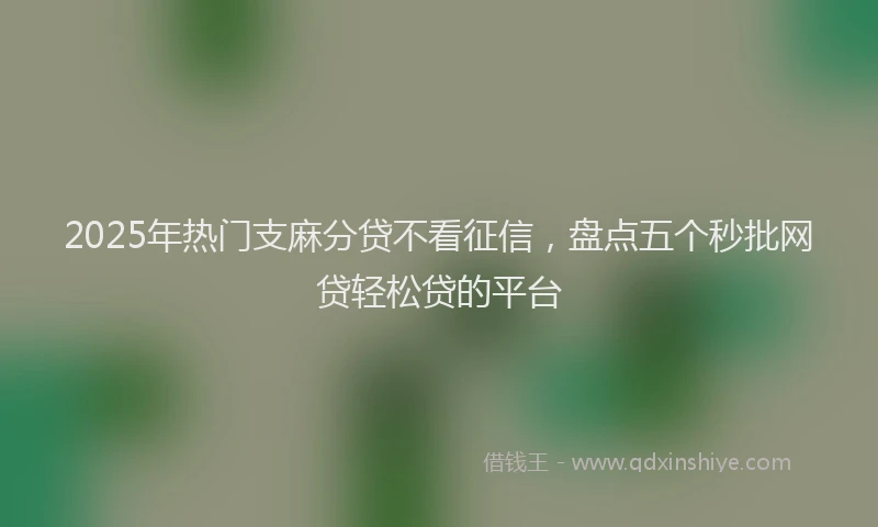 2025年热门支麻分贷不看征信，盘点五个秒批网贷轻松贷的平台