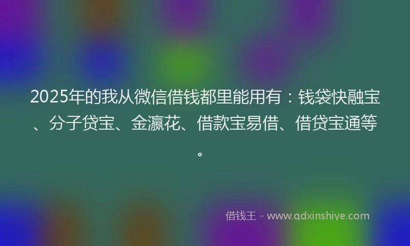 2025年的我从微信借钱都里能用有：钱袋快融宝、分子贷宝、金瀛花、借款宝易借、借贷宝通等。