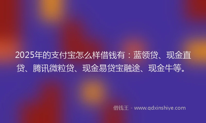 2025年的支付宝怎么样借钱有：蓝领贷、现金直贷、腾讯微粒贷、现金易贷宝融途、现金牛等。