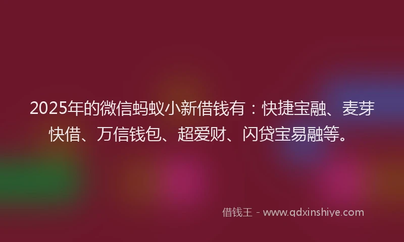 2025年的微信蚂蚁小新借钱有：快捷宝融、麦芽快借、万信钱包、超爱财、闪贷宝易融等。