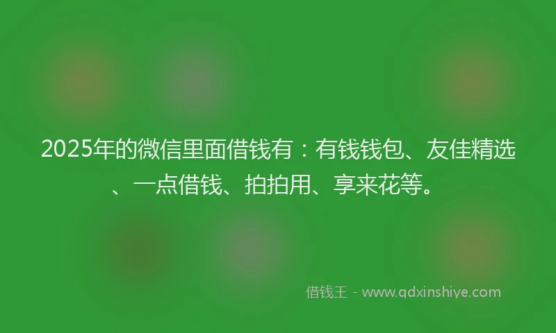 2025年的微信里面借钱有：有钱钱包、友佳精选、一点借钱、拍拍用、享来花等。