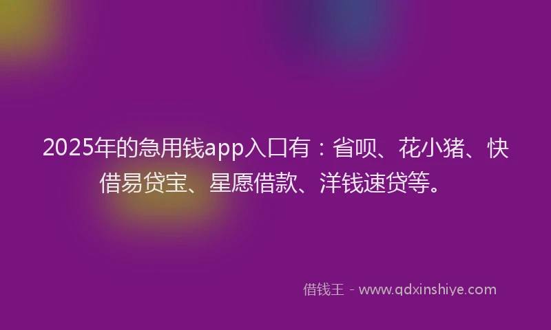 2025年的急用钱app入口有：省呗、花小猪、快借易贷宝、星愿借款、洋钱速贷等。