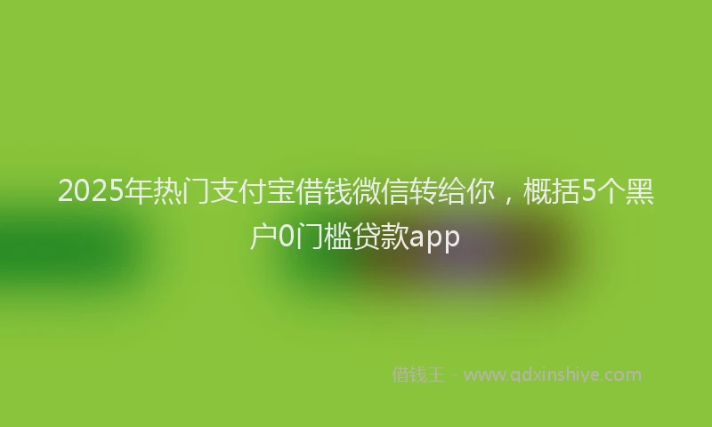 2025年热门支付宝借钱微信转给你，概括5个黑户0门槛贷款app