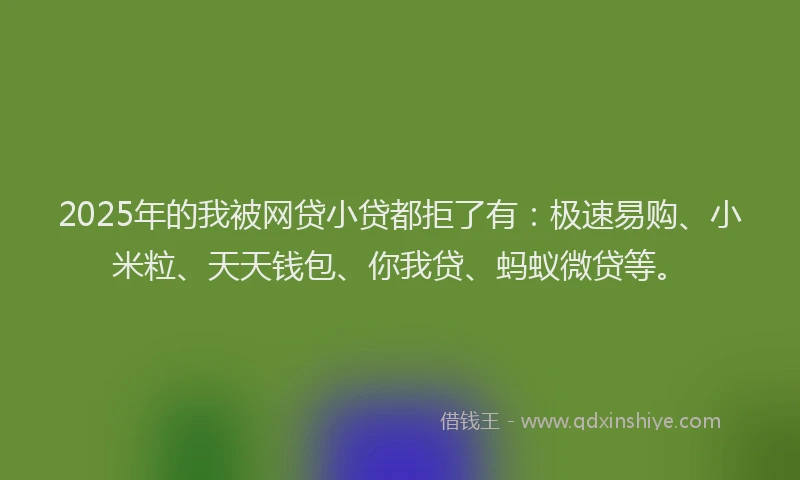 2025年的我被网贷小贷都拒了有：极速易购、小米粒、天天钱包、你我贷、蚂蚁微贷等。