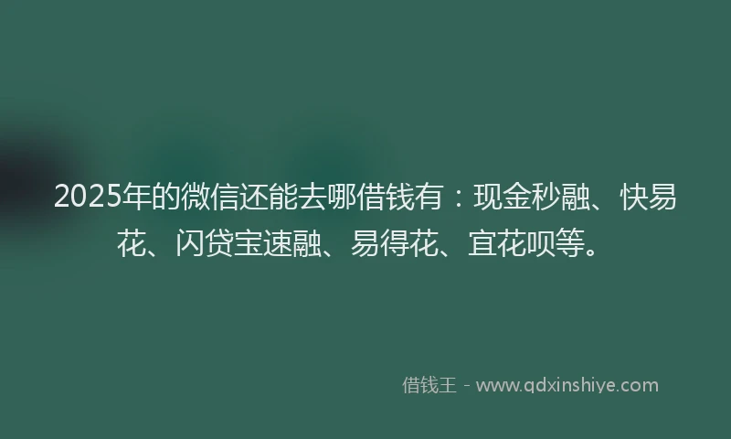 2025年的微信还能去哪借钱有：现金秒融、快易花、闪贷宝速融、易得花、宜花呗等。