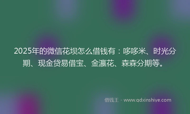 2025年的微信花坝怎么借钱有：哆哆米、时光分期、现金贷易借宝、金瀛花、森森分期等。