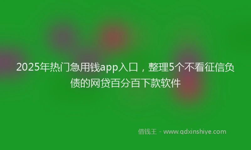 2025年热门急用钱app入口，整理5个不看征信负债的网贷百分百下款软件