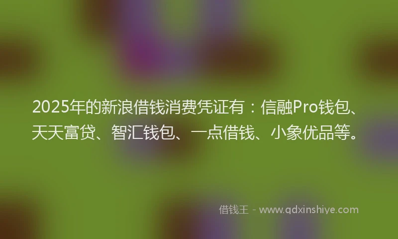 2025年的新浪借钱消费凭证有：信融Pro钱包、天天富贷、智汇钱包、一点借钱、小象优品等。