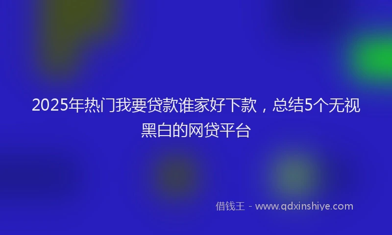 2025年热门我要贷款谁家好下款，总结5个无视黑白的网贷平台