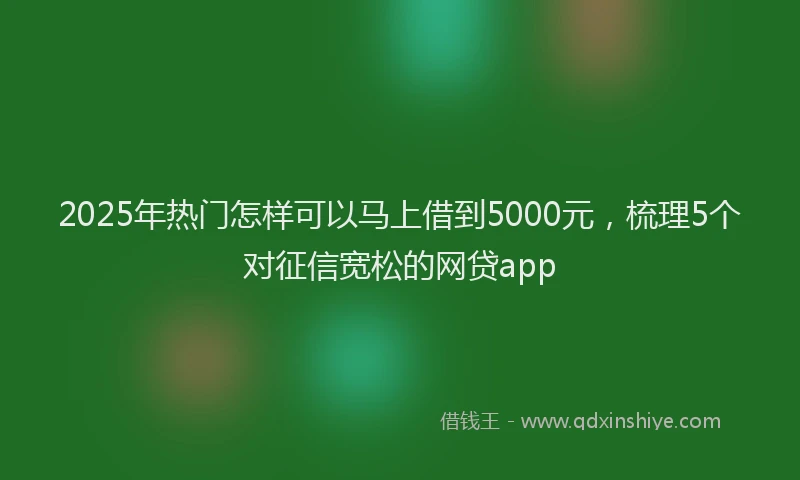 2025年热门怎样可以马上借到5000元，梳理5个对征信宽松的网贷app