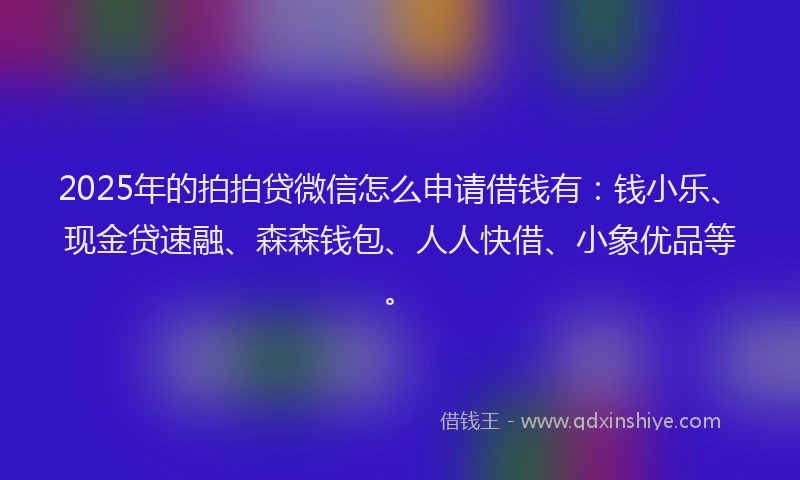 2025年的拍拍贷微信怎么申请借钱有：钱小乐、现金贷速融、森森钱包、人人快借、小象优品等。