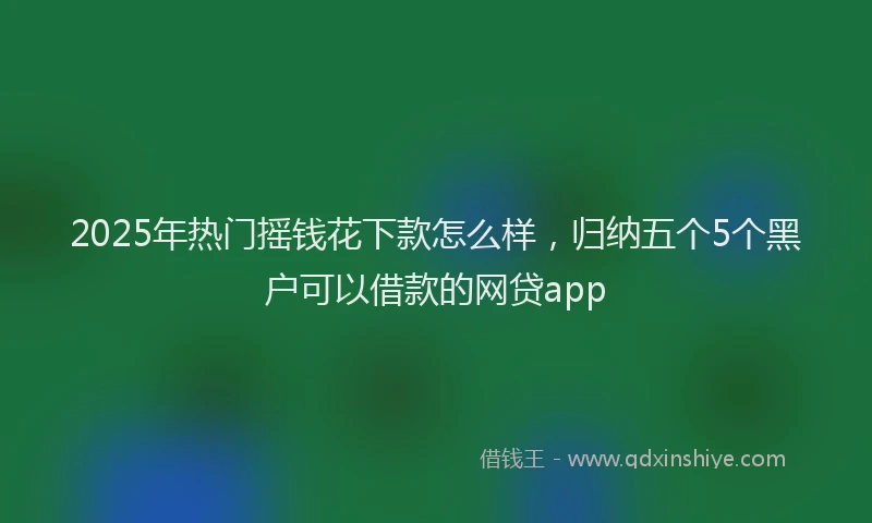 2025年热门摇钱花下款怎么样，归纳五个5个黑户可以借款的网贷app