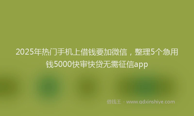 2025年热门手机上借钱要加微信，整理5个急用钱5000快审快贷无需征信app