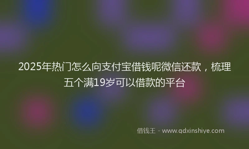 2025年热门怎么向支付宝借钱呢微信还款，梳理五个满19岁可以借款的平台