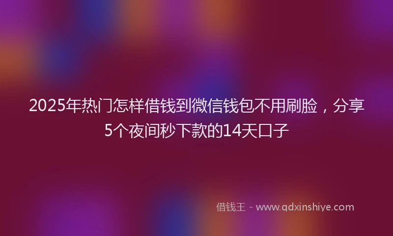 2025年热门怎样借钱到微信钱包不用刷脸，分享5个夜间秒下款的14天口子