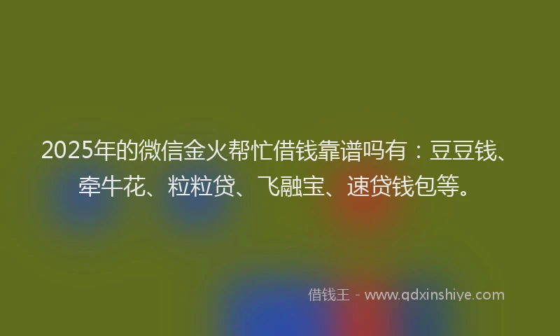 2025年的微信金火帮忙借钱靠谱吗有：豆豆钱、牵牛花、粒粒贷、飞融宝、速贷钱包等。