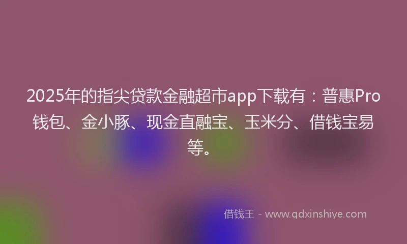 2025年的指尖贷款金融超市app下载有：普惠Pro钱包、金小豚、现金直融宝、玉米分、借钱宝易等。
