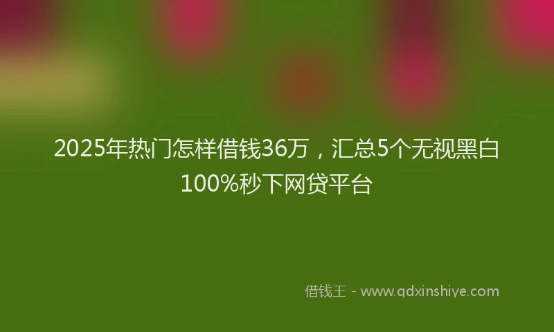 2025年热门怎样借钱36万，汇总5个无视黑白100%秒下网贷平台