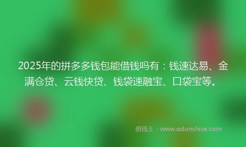 2025年的拼多多钱包能借钱吗有：钱速达易、金满仓贷、云钱快贷、钱袋速融宝、口袋宝等。