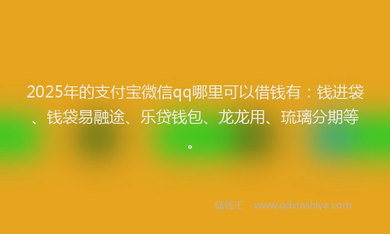 2025年的支付宝微信qq哪里可以借钱有：钱进袋、钱袋易融途、乐贷钱包、龙龙用、琉璃分期等。