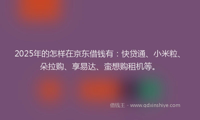 2025年的怎样在京东借钱有：快贷通、小米粒、朵拉购、享易达、蛮想购租机等。
