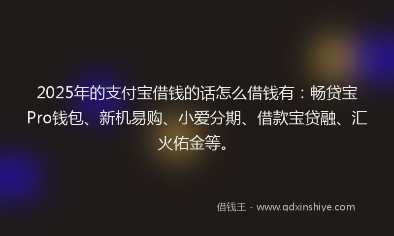 2025年的支付宝借钱的话怎么借钱有：畅贷宝Pro钱包、新机易购、小爱分期、借款宝贷融、汇火佑金等。