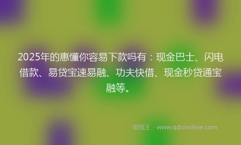 2025年的惠懂你容易下款吗有：现金巴士、闪电借款、易贷宝速易融、功夫快借、现金秒贷通宝融等。