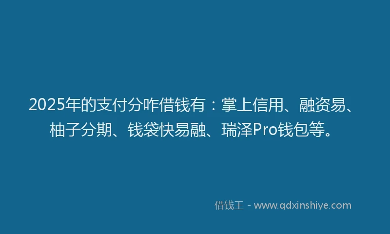 2025年的支付分咋借钱有：掌上信用、融资易、柚子分期、钱袋快易融、瑞泽Pro钱包等。