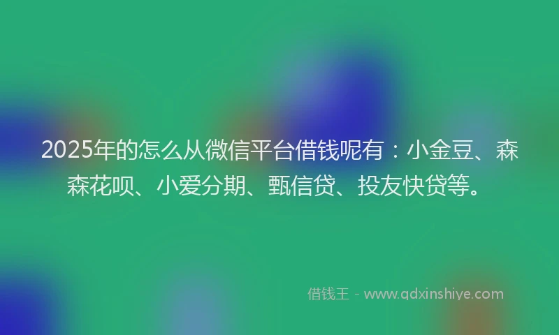 2025年的怎么从微信平台借钱呢有：小金豆、森森花呗、小爱分期、甄信贷、投友快贷等。